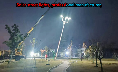 The LEADRAY Electric construction team will follow the construction drawings Solar outdoor lighting brand