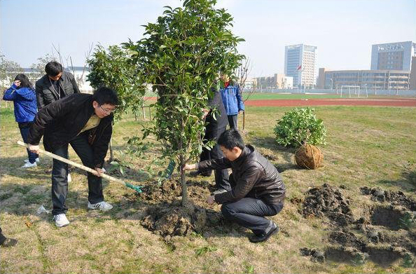 Happy Arbor Day