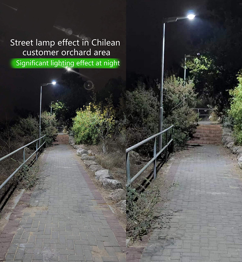 Street lamp in orchard area.Significant lighting Chilean customers 