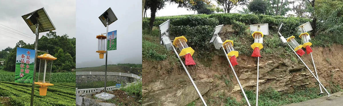 Agricultural street lamp
