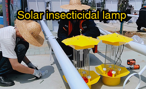 60 PCS solar powered pest control lamps installed in rural areas