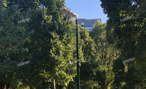 Solar Street Light Application In Park