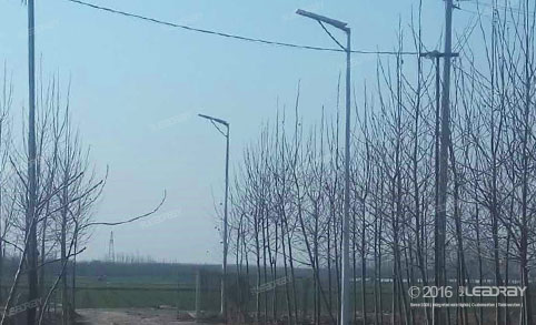 40W Stand Alone Solar Street Light For Farm Application