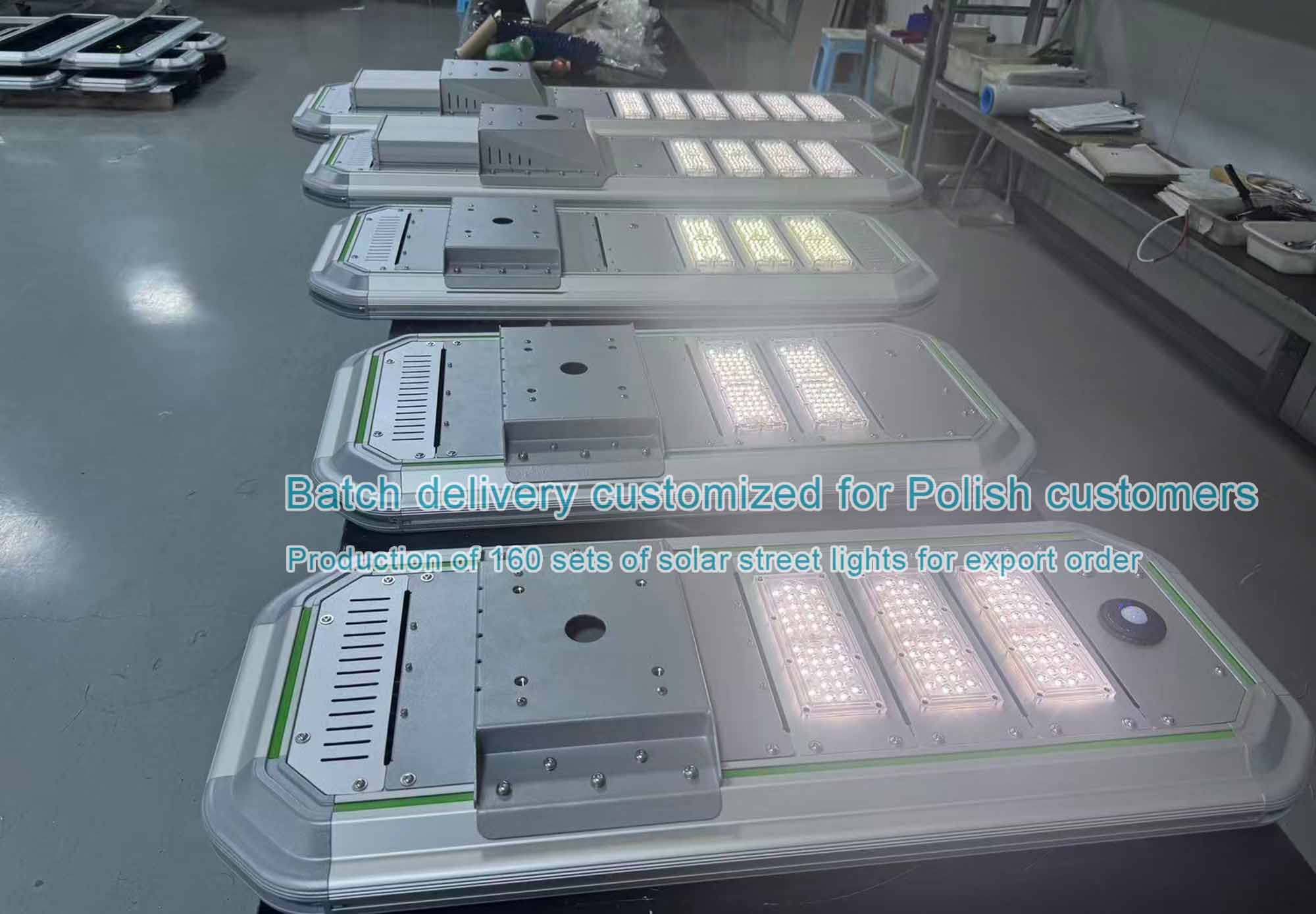 Meet the long-term lighting requirements for Polish municipal roads throughout the night Meet the long-term lighting requirements for Polish municipal roads throughout the night