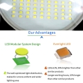 Outdoor solar pathway light courtyard garden light layout atmosphere landscape waterproof decoration