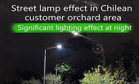Orchard area street lamps for Chilean customers