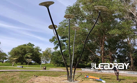Leadray's 30w Led solar garden lamp was highly praised by customers after it was installed in the park