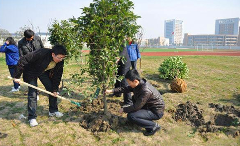 Happy Arbor Day